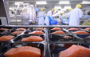 Apoio ao investimento produtivo na área da transformação e valorização dos produtos da pesca e da aquicultura